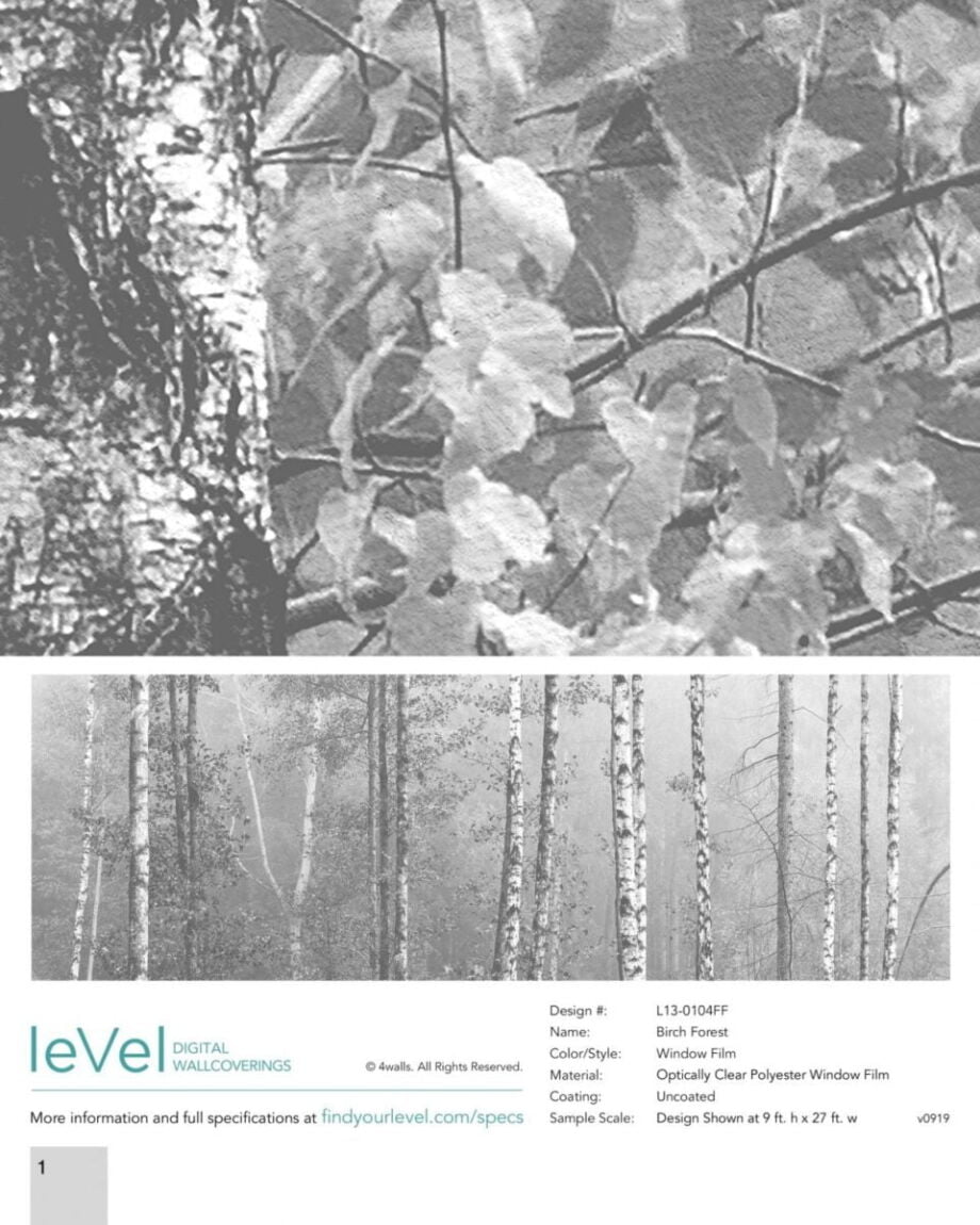 Birch Forest