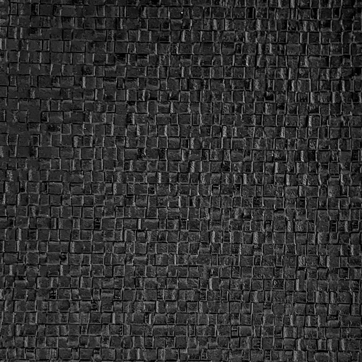 Braque Black Digital Ground