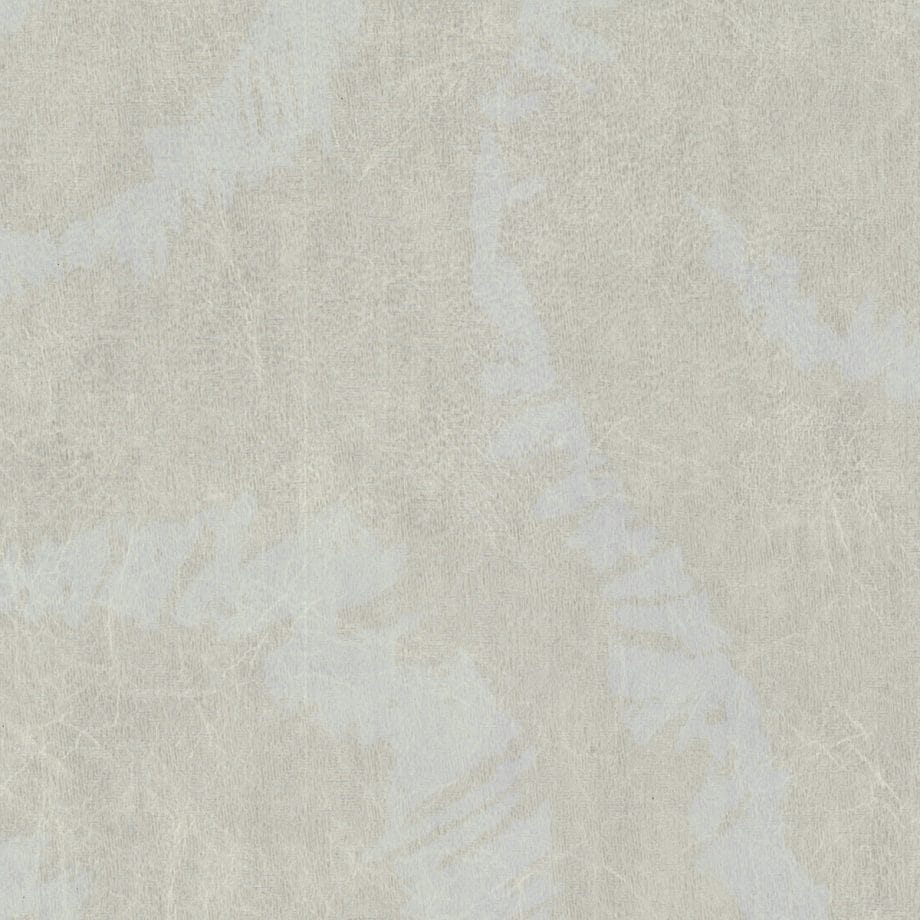 Snowdrift