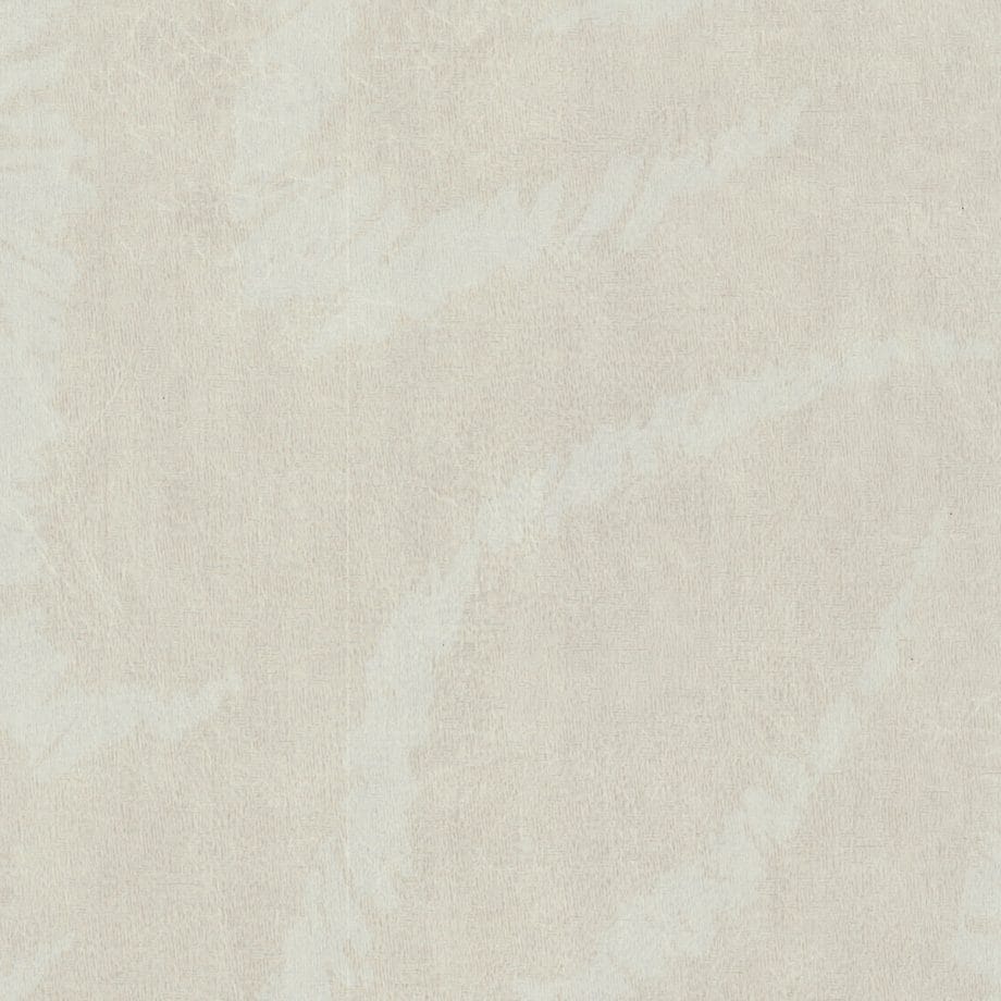 Snowdrift