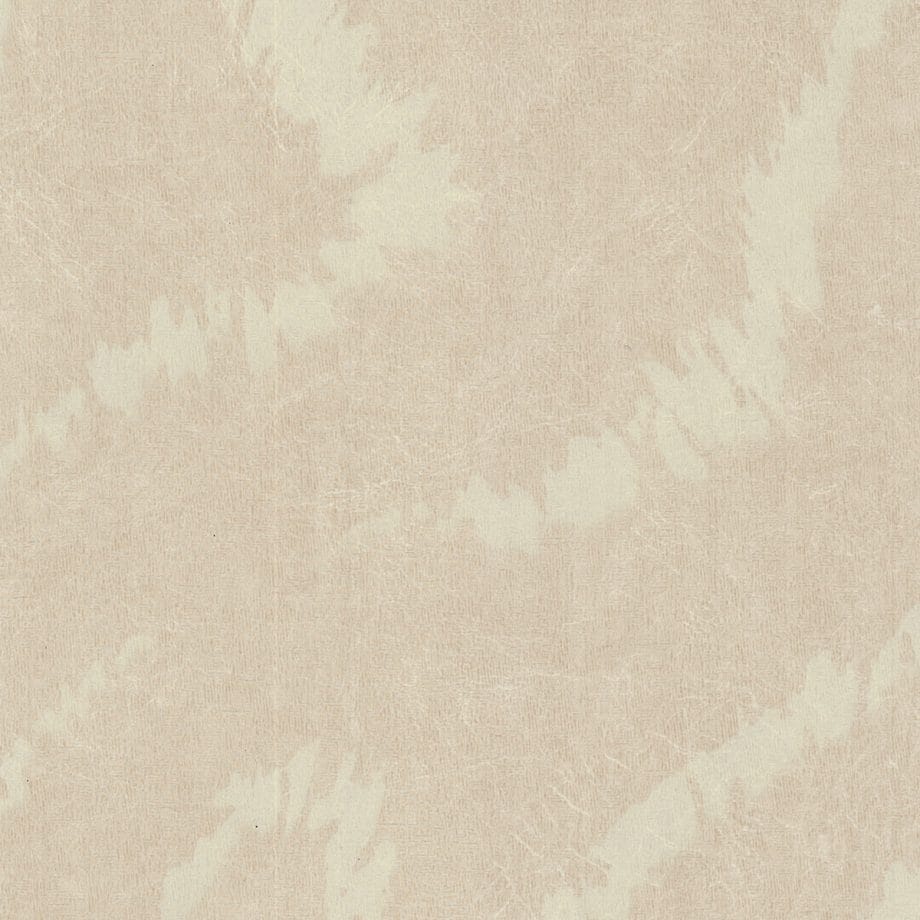 Snowdrift