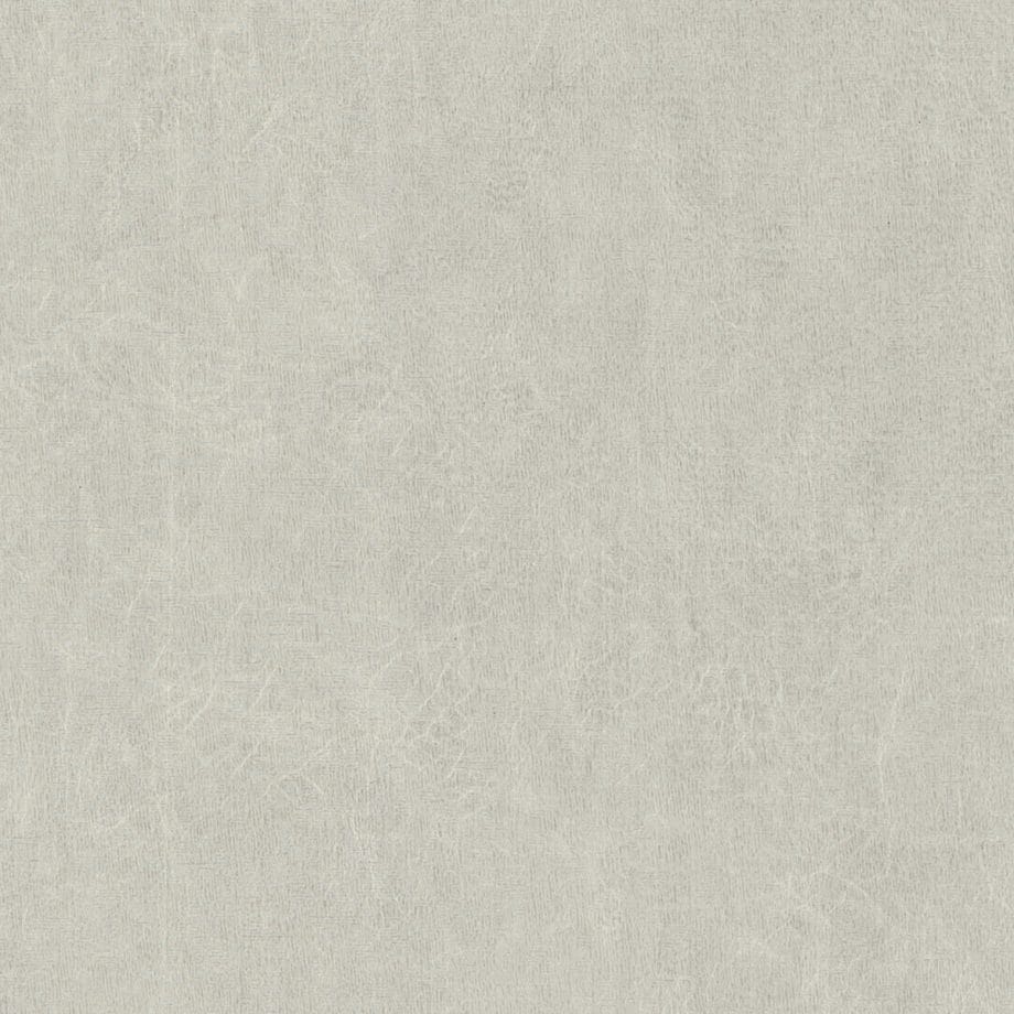 Snowdrift Texture