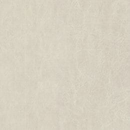 Snowdrift Texture