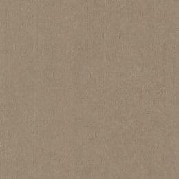 Snowdrift Texture