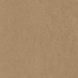 Snowdrift Texture