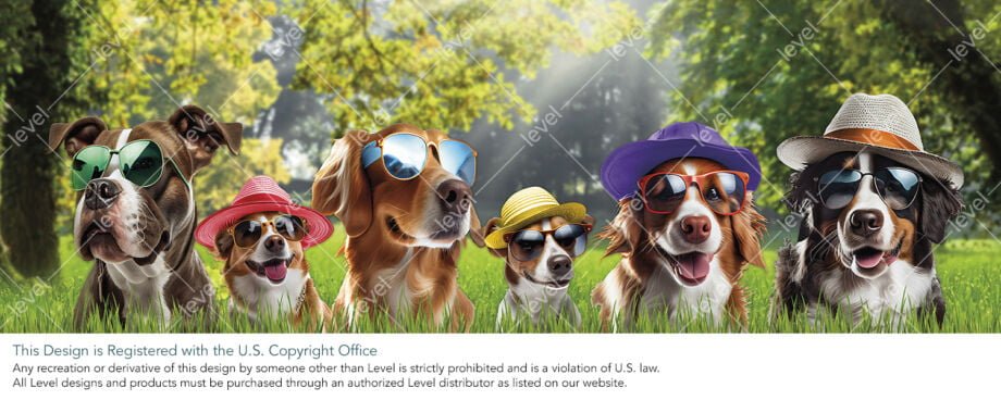 Camp Bow Wow