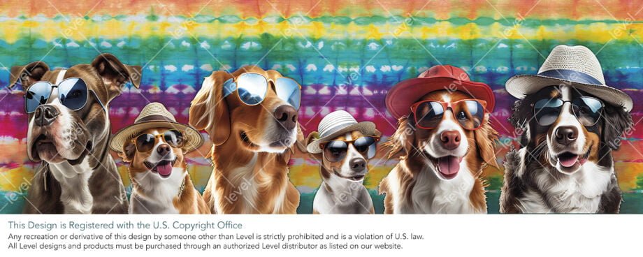 Camp Bow Wow