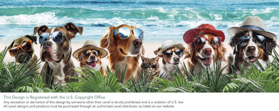 Camp Bow Wow