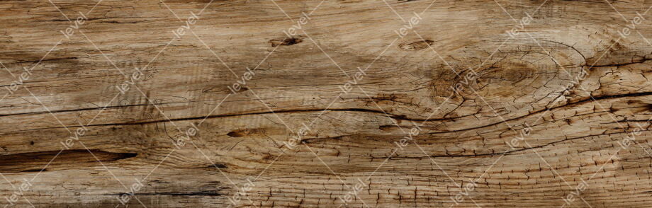 Driftwood
