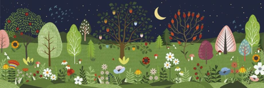 Enchanted Forest