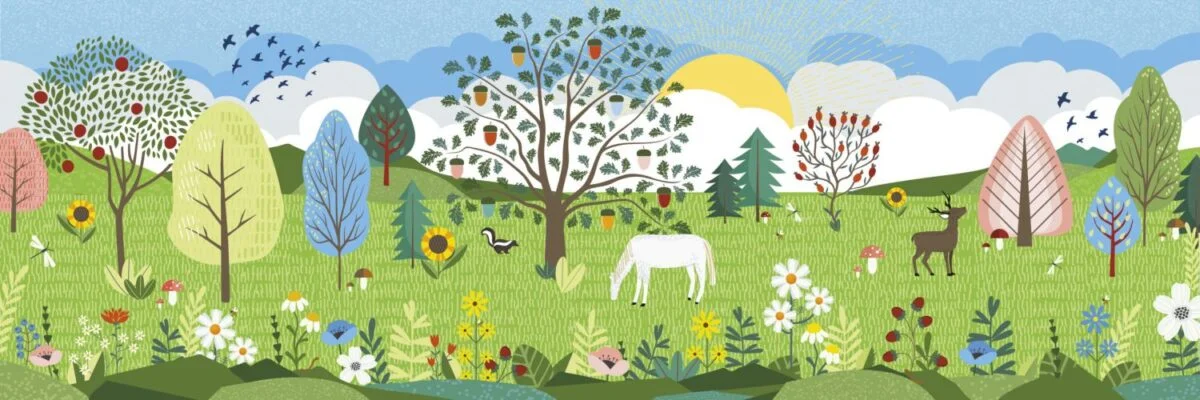 Enchanted Forest