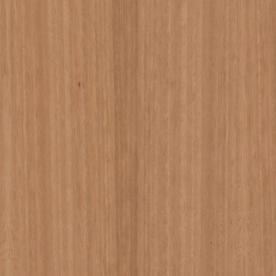 Eucalyptus Plain QC