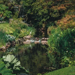 Garden Pond
