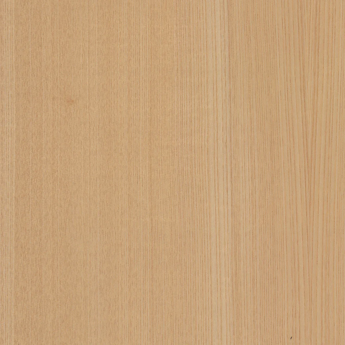 Sanfoot Wood Veneer