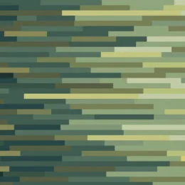 Transition
