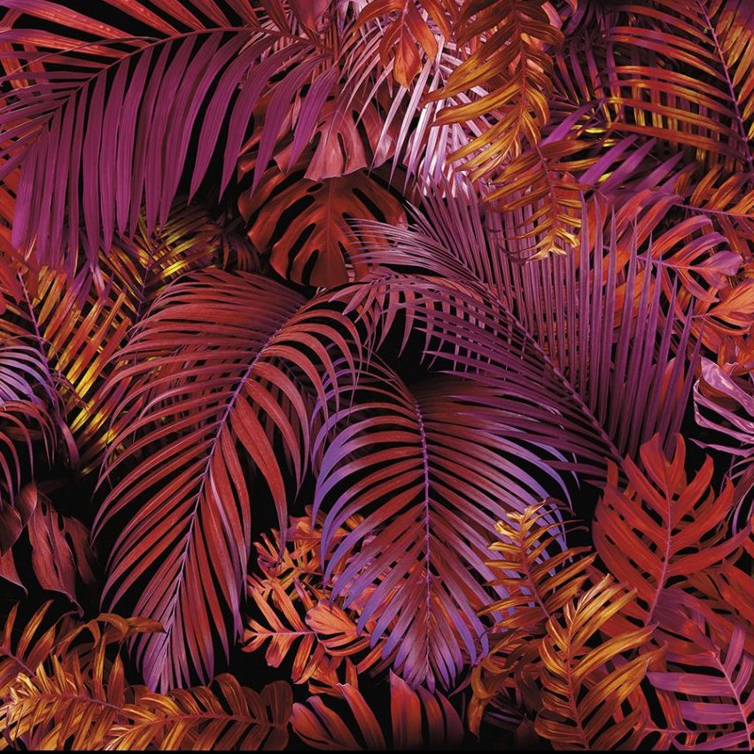 Urban Jungle - National Solutions