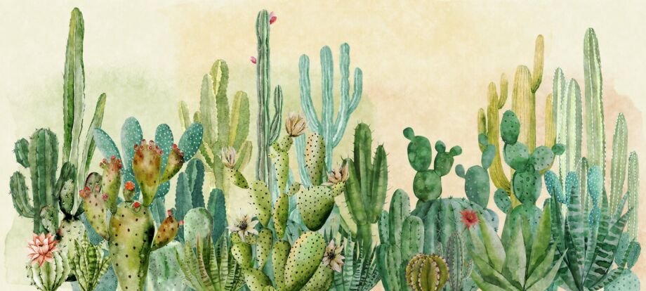 Cactus