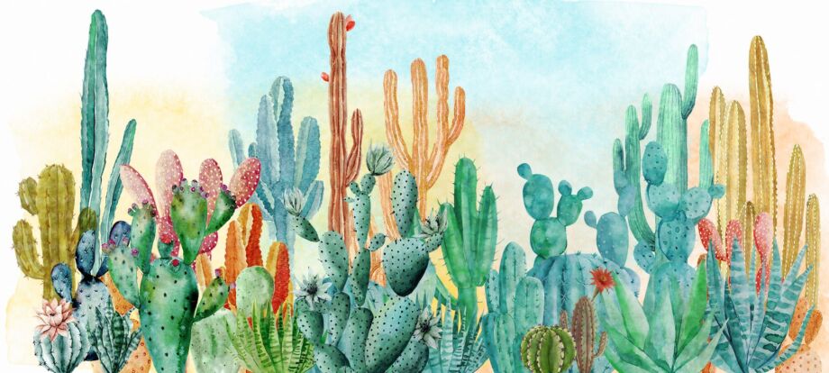 Cactus
