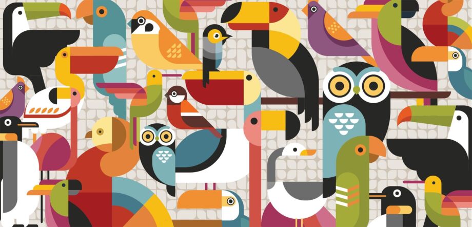 Bird Song
