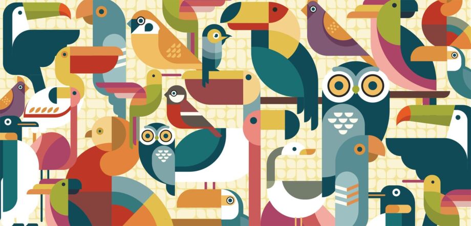 Bird Song