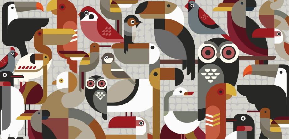 Bird Song