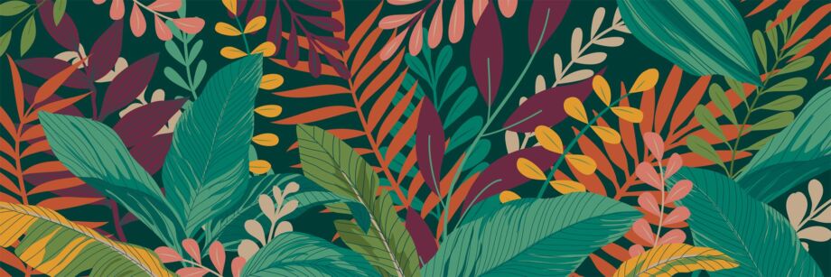 Tropicali