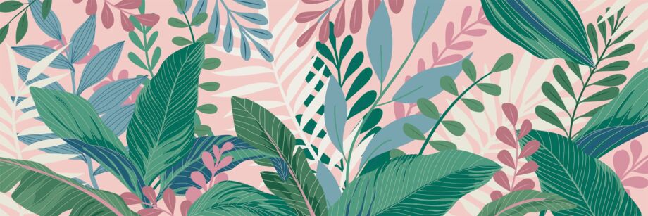 Tropicali