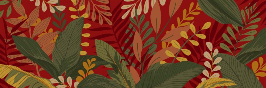 Tropicali