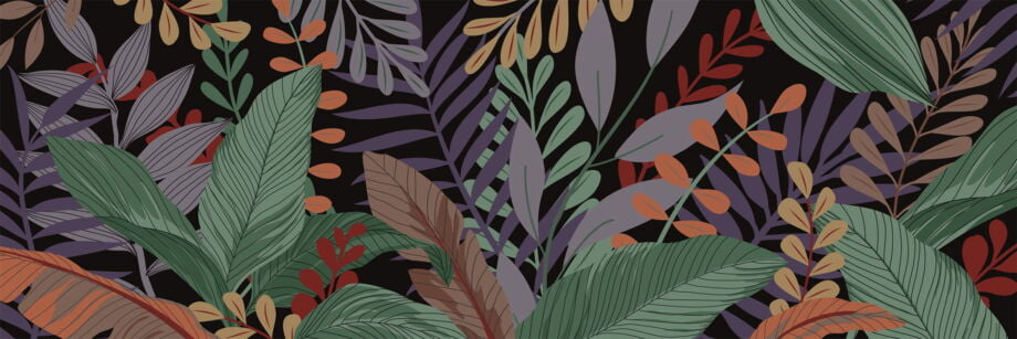 Tropicali