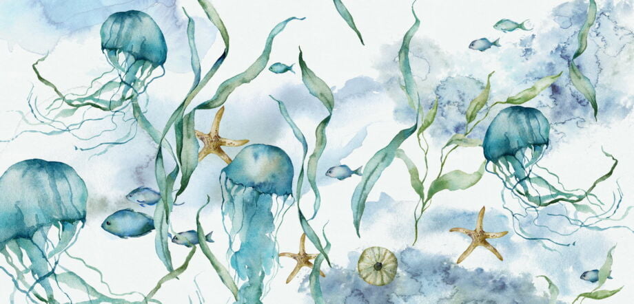 Jellyfish