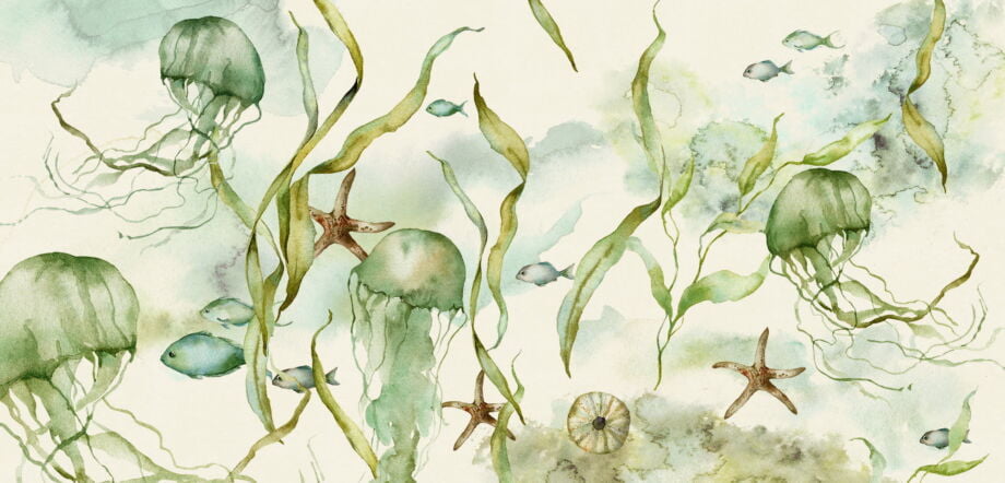 Jellyfish