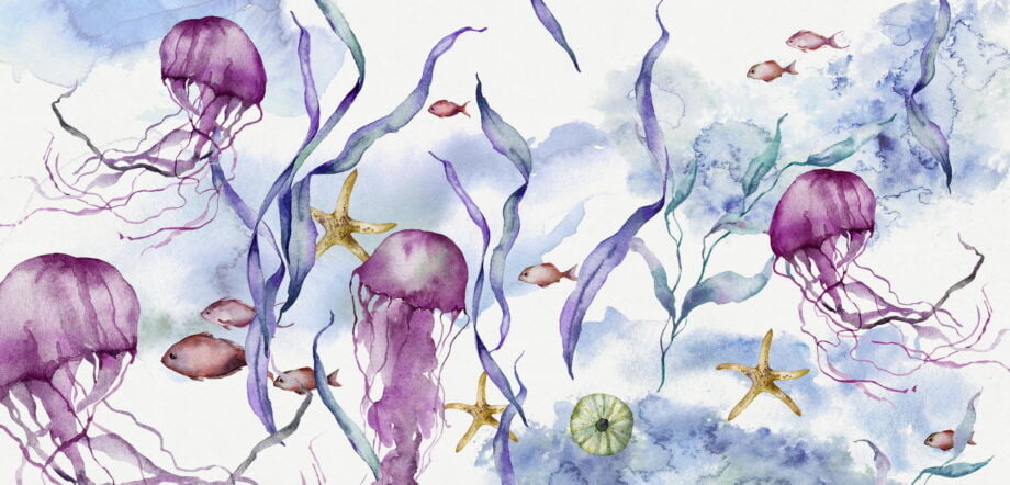 Jellyfish
