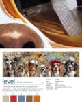 Camp Bow Wow