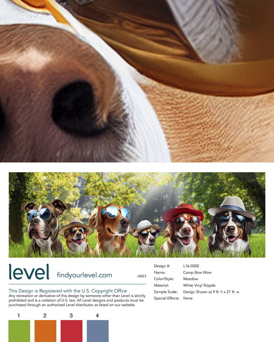 Camp Bow Wow