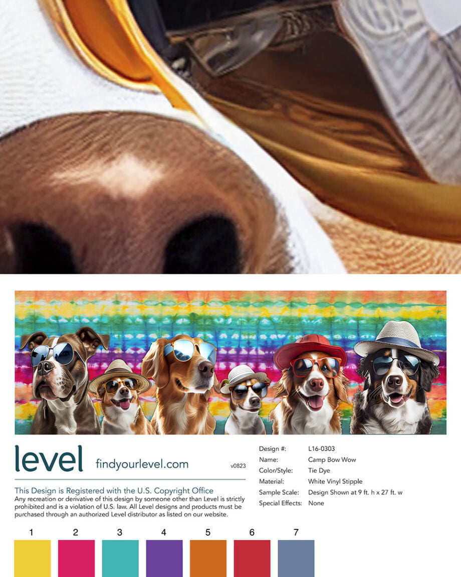 Camp Bow Wow
