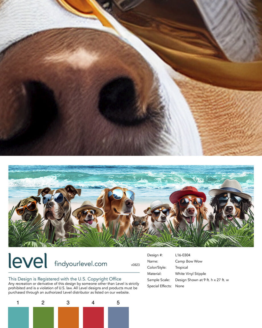 Camp Bow Wow