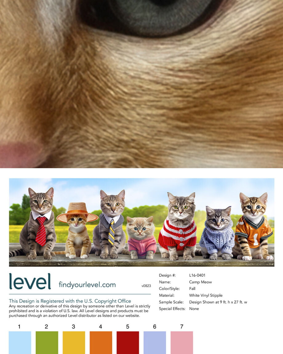 Camp Meow