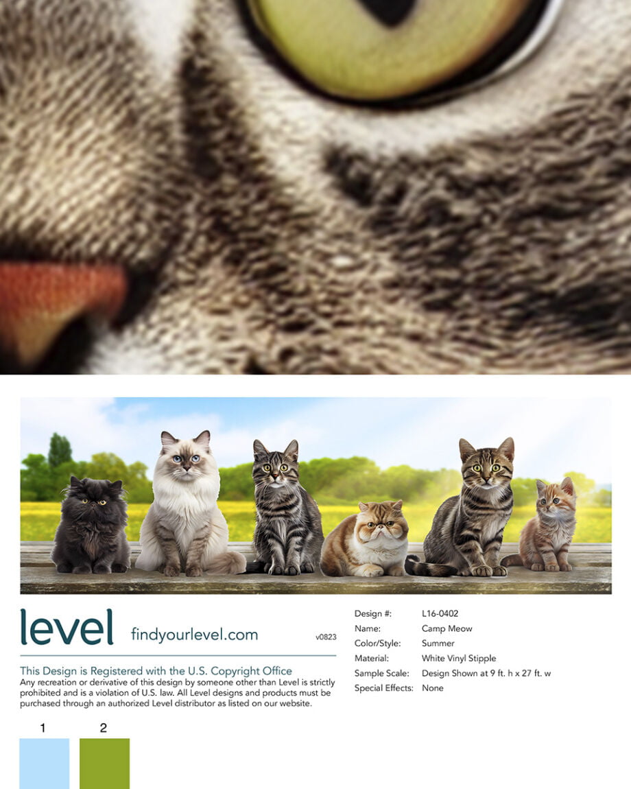 Camp Meow