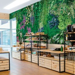 Plant Wall