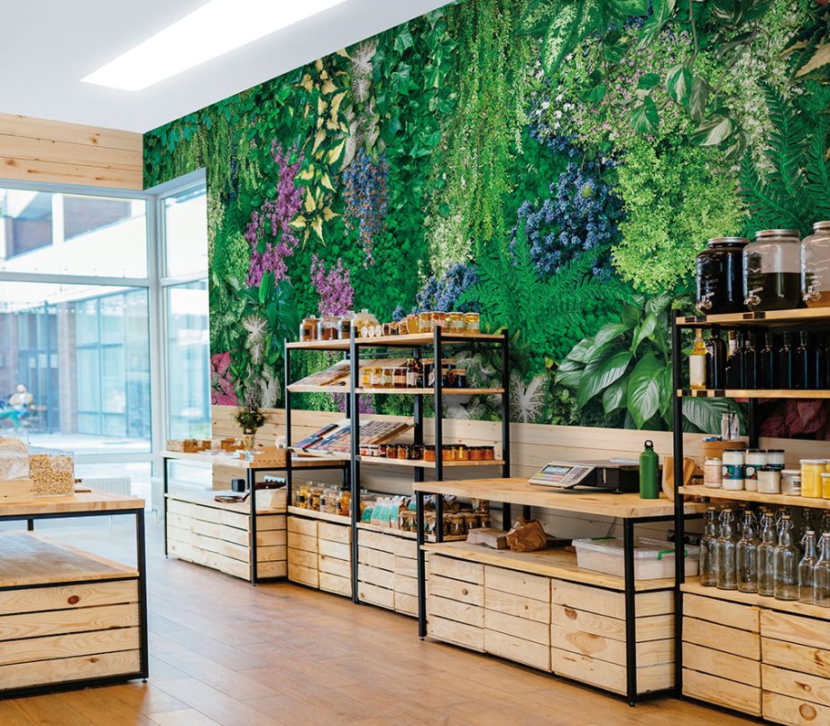 Plant Wall