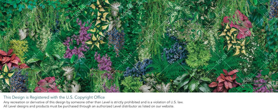 Plant Wall