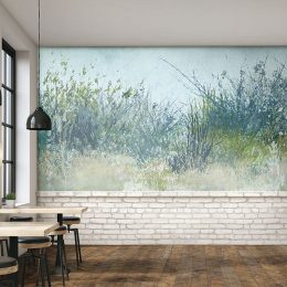 Grassy Meadow