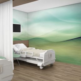 Serene Hillside