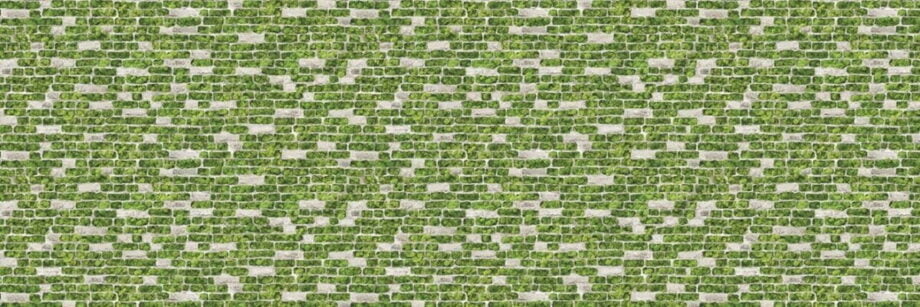 Moss