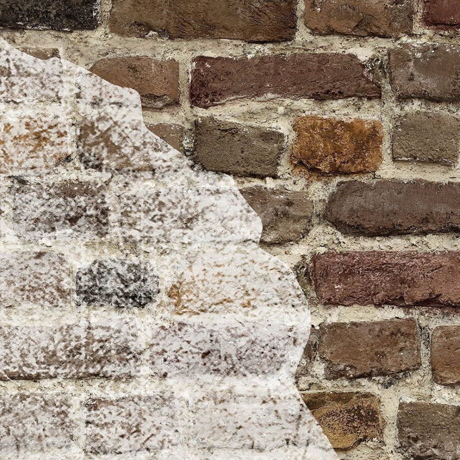 Painted Brick
