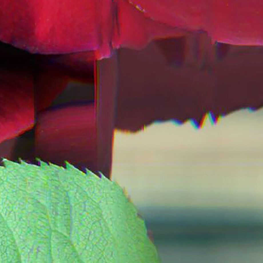 Bloomscape