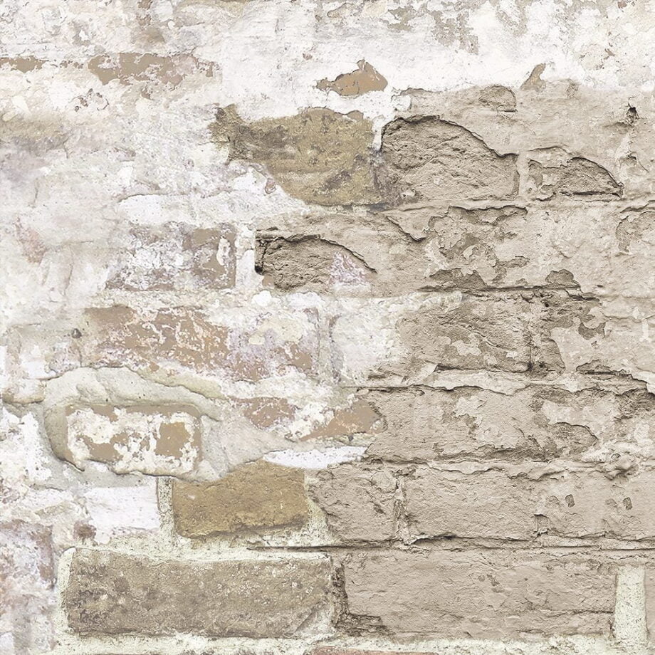 Timeworn Brick