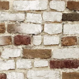 Timeworn Brick