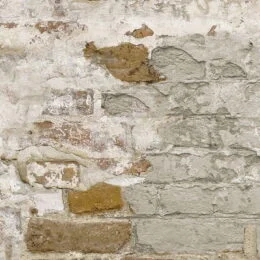 Timeworn Brick