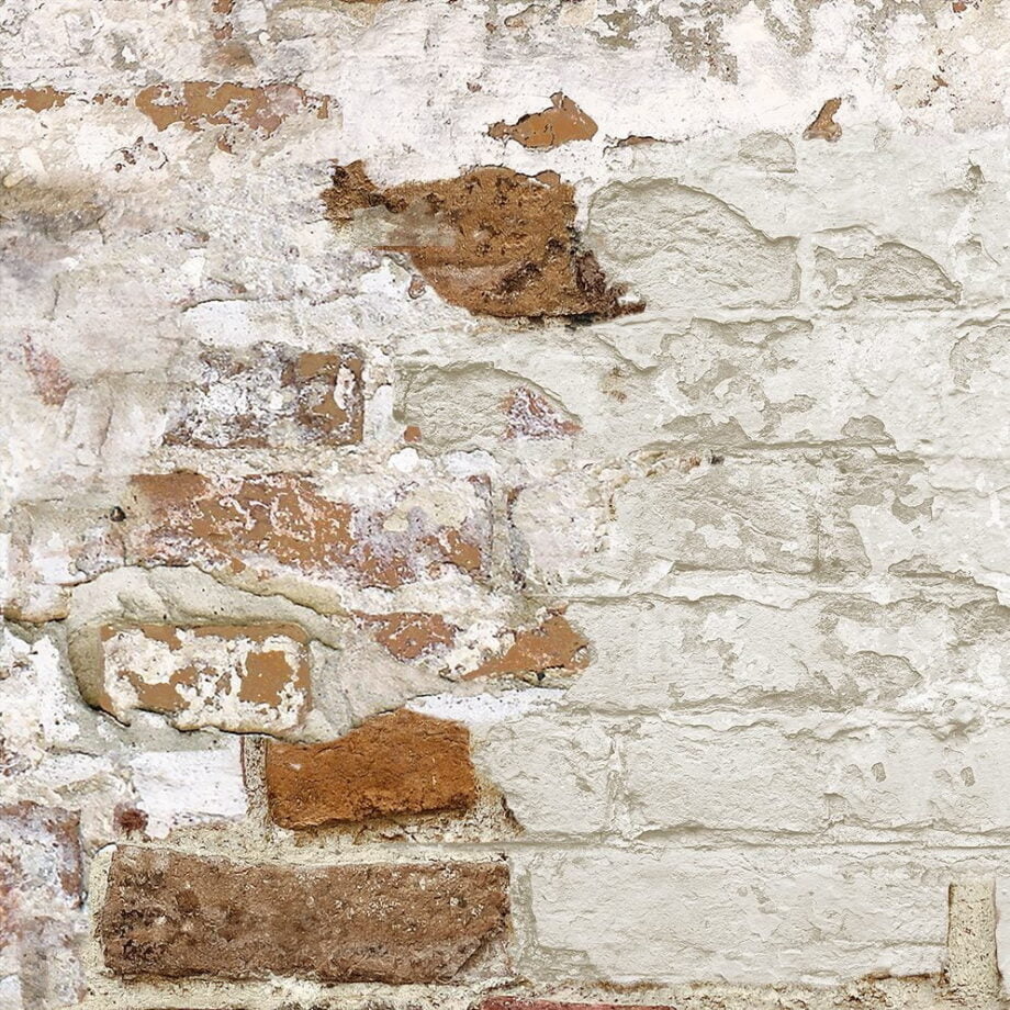 Timeworn Brick